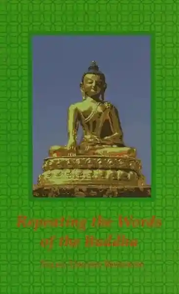 Tulku Urgyen Rinpoche : Repeating the Words of the Buddha (Used)