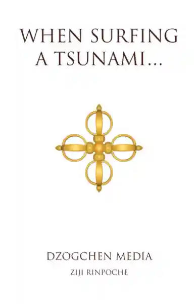 Ziji Rinpoche : When Surfing a Tsunami . . .