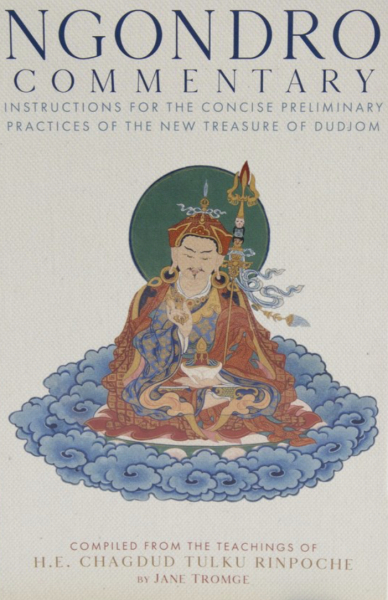 Chagdud Tulku : Ngondro Commentary