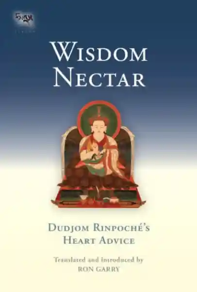 Dudjom Rinpoche's Heart Advice : Wisdom Nectar (Tsadra, Band 5)