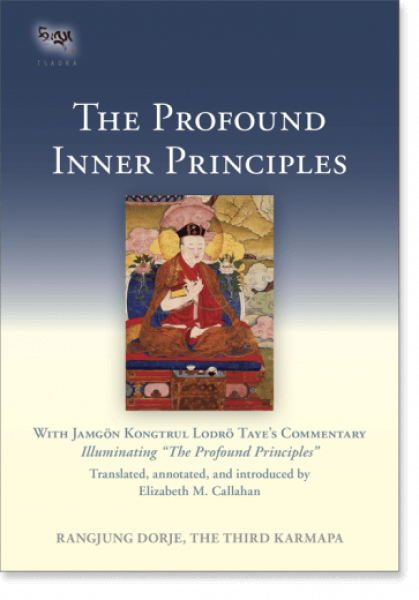 The Third Karmapa : The Profound Inner Principles