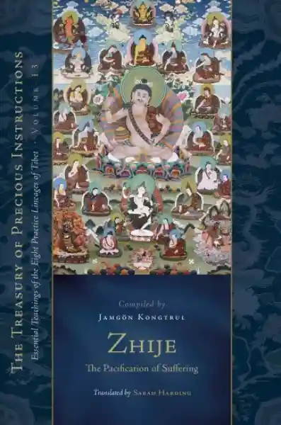 Jamgon Kongtrul Lodro Taye : Zhije: The Pacification of Suffering (Volume 13)