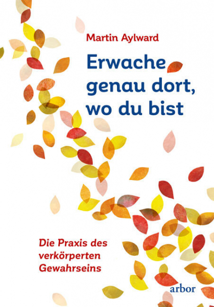 Martin Aylward : Erwache genau dort, wo du bist
