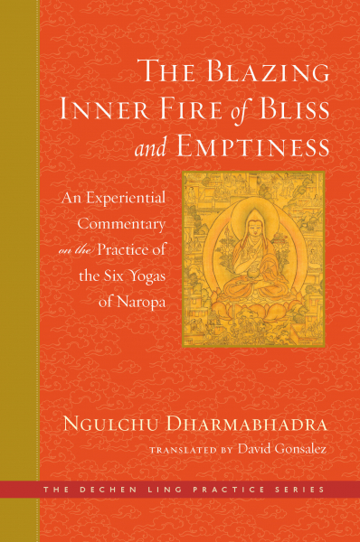 DAVID GONSALEZ : THE BLAZING INNER FIRE OF BLISS AND EMPTINESS
