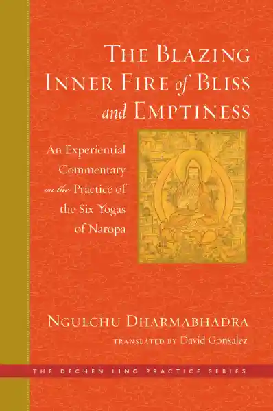 DAVID GONSALEZ : THE BLAZING INNER FIRE OF BLISS AND EMPTINESS