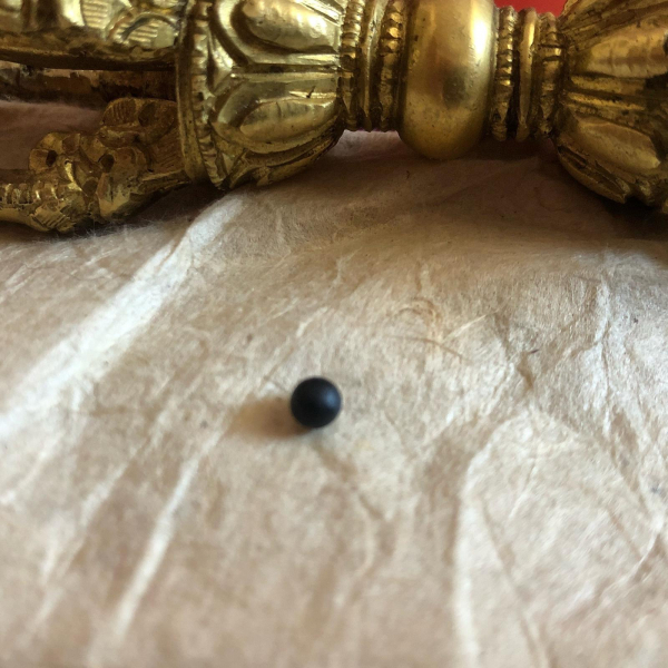 Nectarpill from Gyume-Tantric-Monastery