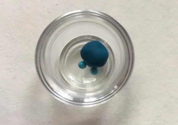 Orgyen Menla Dutsi Bum Zang Mother Pill