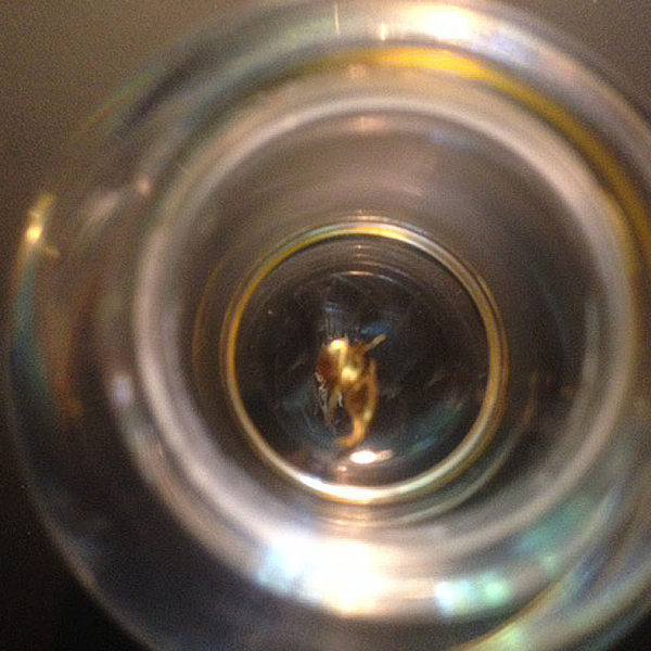 Piprahwa gold flower fragment