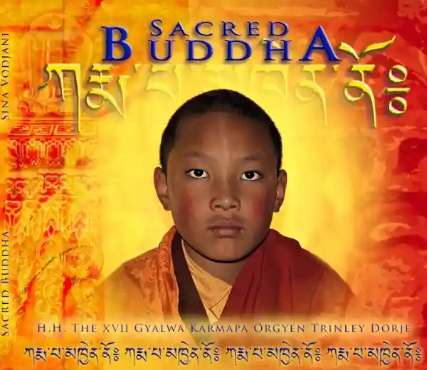 Sina Vodjani : Sacred Buddha
