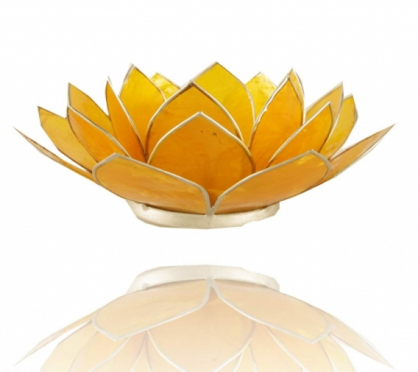 Lotus Licht mit Goldrand
