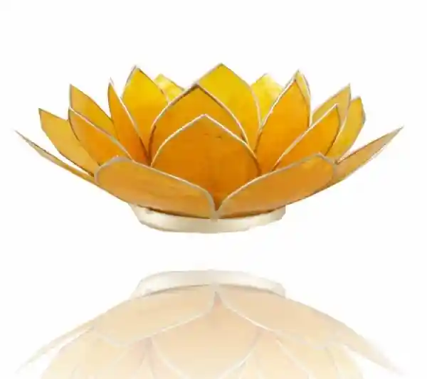 Lotus candlelightholder chakra goldlining