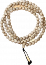 Lotus Seed natur