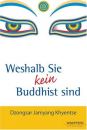 Dzongsar Khyentse Rinpoche : Weshalb Sie kein Buddhist sind (Gebundene Ausgabe)