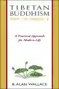 B. ALAN WALLACE : TIBETAN BUDDHISM FROM THE GROUND UP