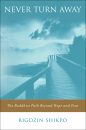 RIGDZIN SHIKPO, FRANCESCA FREMANTLE : NEVER TURN AWAY The Buddhist Path Beyond Hope and Fear