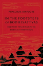 Phakchok Rinpoche : In the Footsteps of Bodhisattvas Buddhist Teachings on the Essence of Meditation