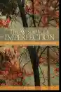 Rob Preece : The Wisdom of Imperfection