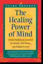 Tulku Thondup : The Healing Power of Mind Simple Meditation Exercises for Health, Well-Being, and Enlightenment