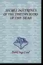 Detlef Ingo Lauf : Secret Doctrines of the Tibetan Book of the Dead