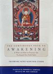 Drubwang Nono Konchok Stanpa : The continuous Path to Awakening (Gebraucht)