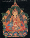 Gerd-Wolfgang Essen und Tsering Tashi Thingo : Padmasambhava (Band 3 )