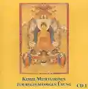 Ven. Drubpön Champa Rigzin : Meditationsband 1 (3 CDs)