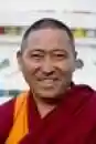Geshe Pema Samten - Die Götterscharen von Tushita (Audio CD+Text)