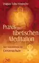 Dagsay Tulku Rinpoche - Praxis der tibetischen Meditation (TB) Gebraucht