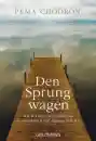 Chödrön, Pema : Den Sprung wagen (TB)