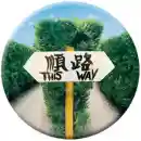 Magnet This Way