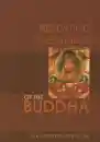 Tulku Urgyen Rinpoche : Repeating the Words of the Buddha
