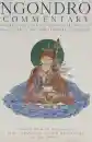 Chagdud Tulku : Ngondro Commentary