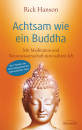 Hanson, Rick : Achtsam wie ein Buddha