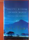 Dalai Lama XIV. : Ancient Wisdom, Modern World