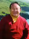 Rinpoche, Lama Sogyal: Den Geist erwecken, das Herz öffnen