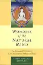 Tenzin Wangyal : Wonders of the Natural Mind