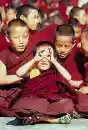 Postkarte Young Monk (IQN16)