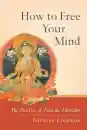 Thubten Chodron : How to free your mind