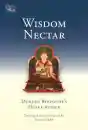 Dudjom Rinpoche's Heart Advice : Wisdom Nectar (Tsadra, Band 5)