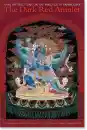 Khechen Palden Sherab Rinpoche : The Dark Red Amulet