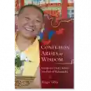 Ringu Tulku : Confusion Arises as Wisdom