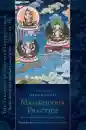 Jamgon Kongtrul Lodro Taye : Mahasiddha Practice (Volume 16)