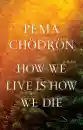 Pema Chodron : How We Live Is How We Die