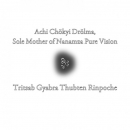 Achi Chökyi Drolma, Sole Mother of Nanamza Pure Vision