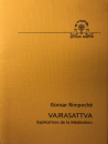 Gonsar Rimpoche : Vajrasattva (français)