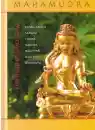 Jobst Koss, Dorothee Koss-Gelen : Mahamudra - Erfahrung und Realisation