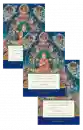 The Great Exposition of Secret Mantra, Volume 1-3