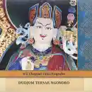 Chagdud Tulku : Dudjom Tersar Ngondro CD