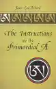 Jean-Luc Achard : The Instructions on the Primordial A - Mängelexemplar