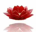 Lotus candlelightholder chakra goldlining